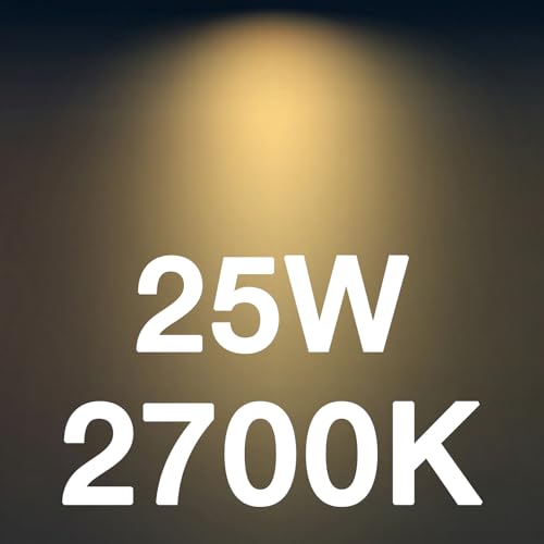 ST19 60W Led Bulbs