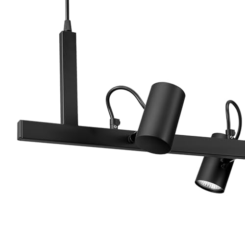 Suspended Track Lighting (Matte Black, Asimov)