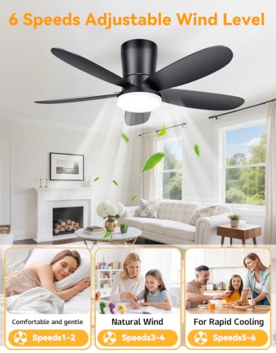 Low Profile Ceiling Fan with Light (Black)