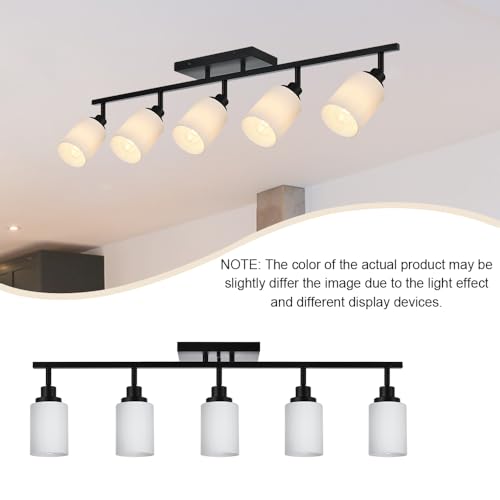Black Track Lighting Kit (Black / 5-Lights)
