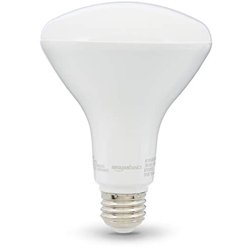 BR30 LED Light Bulb (Daylight / 16 Count (Pack of 1) / 65W Equivalent)