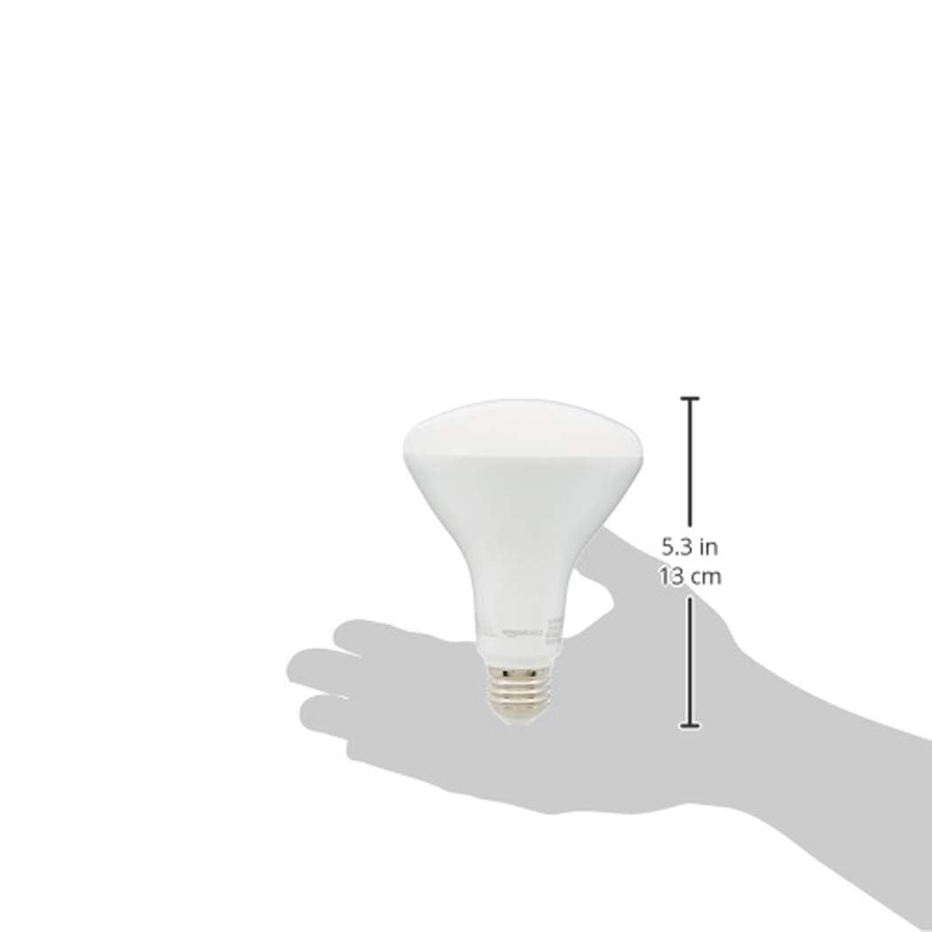 BR30 LED Light Bulbs (Soft White / 6 Count (Pack of 1) / 65W Equivalent)