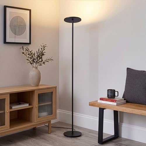 Sky Flux Dimmable LED Floor Lamp (Black)