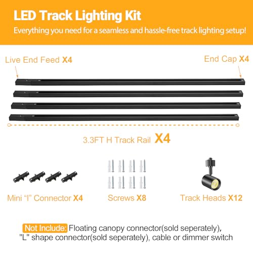 5-Color 12-Light LED Track Lighting Kit with 13FT Rails, 10W Black (Black / 12 Lights)
