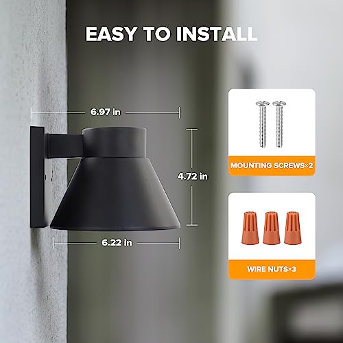 2 Pack LED Outdoor Wall Light Fixtures (Black)