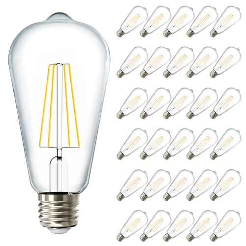 Sunco 30 Pack Edison Bulbs LED ST64 (30 Pack)