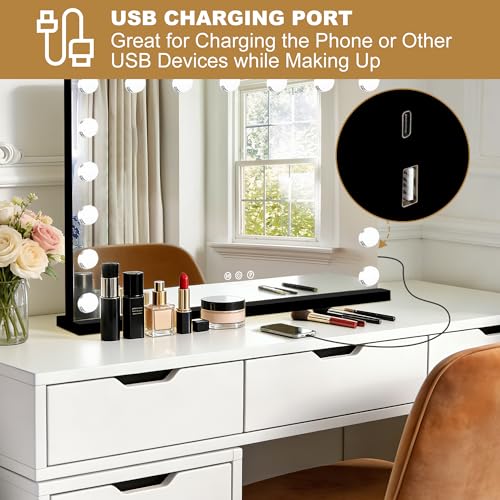 Vanity Mirror with Lights (Black / 28"L x 20"W)