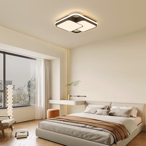 Modern Ceiling Light with Remote for Bedroom Living Room Kitchen Hallway 0109