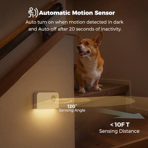 Motion Sensor Night Light (White / 6 Pack)
