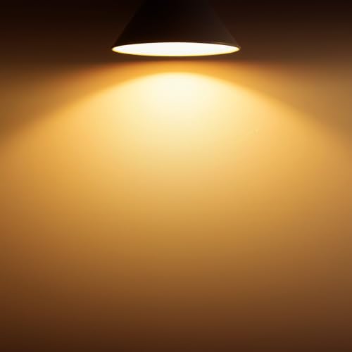 CA11 Chandelier Light Bulbs