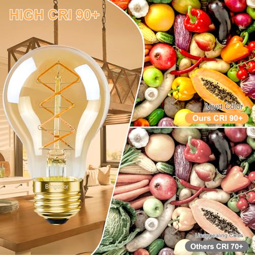 A19 Vintage LED Edison Bulbs