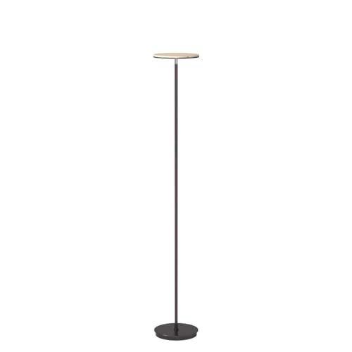 Sky Flux Dimmable LED Floor Lamp (Bronze)