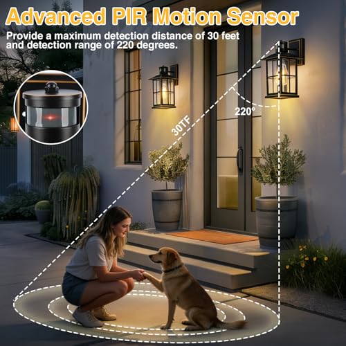 2 Pack Outdoor Motion Sensor Porch Light (Matte Black)