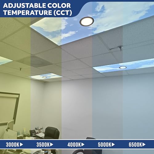 4 Pack 2x4 LED Sky Panel Light with Downlight (2x4 FT - 4Pack)
