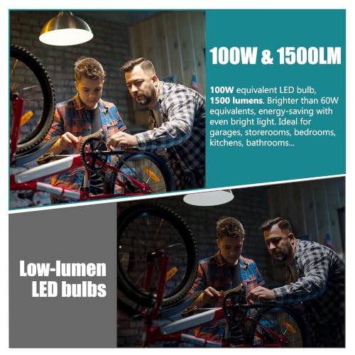 A19 LED Light Bulbs (2700k Soft White)