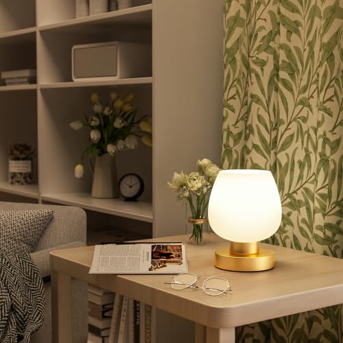 Small Touch Table Lamp for Nightstand (Gold)
