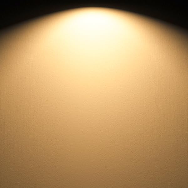 200 Watt Equivalent LED Bulb