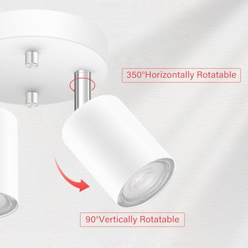 LED 2 Light Track Lighting Kit (2 Light-White)