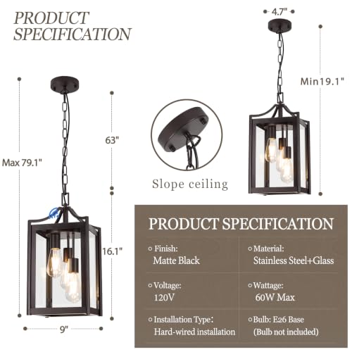 Outdoor Pendant Lights for Porch (Oil-Rubbed Bronze / Large-Clear Glass)