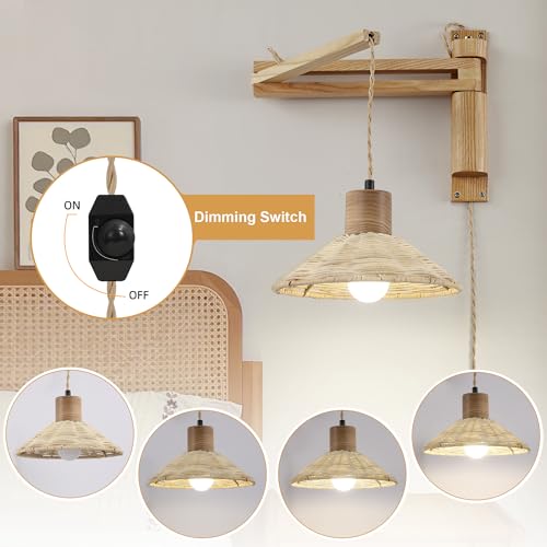 Plug in Wall Lamp (Bamboo + Natural Wood)