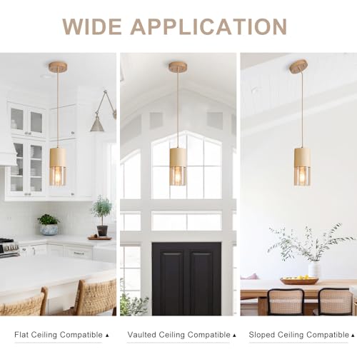 Pendant Light Fixtures (Gold & Amber—Cord / 1 Pack)