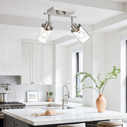 2 Light Track Lighting Kit Brushed Nickel Track Lighting Fixtures (Brushed Nickel / 2 Light)