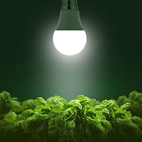Grow Light Bulbs (White)
