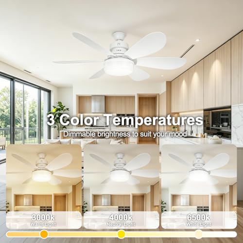 Screw in Ceiling Fan with Light (White-3)