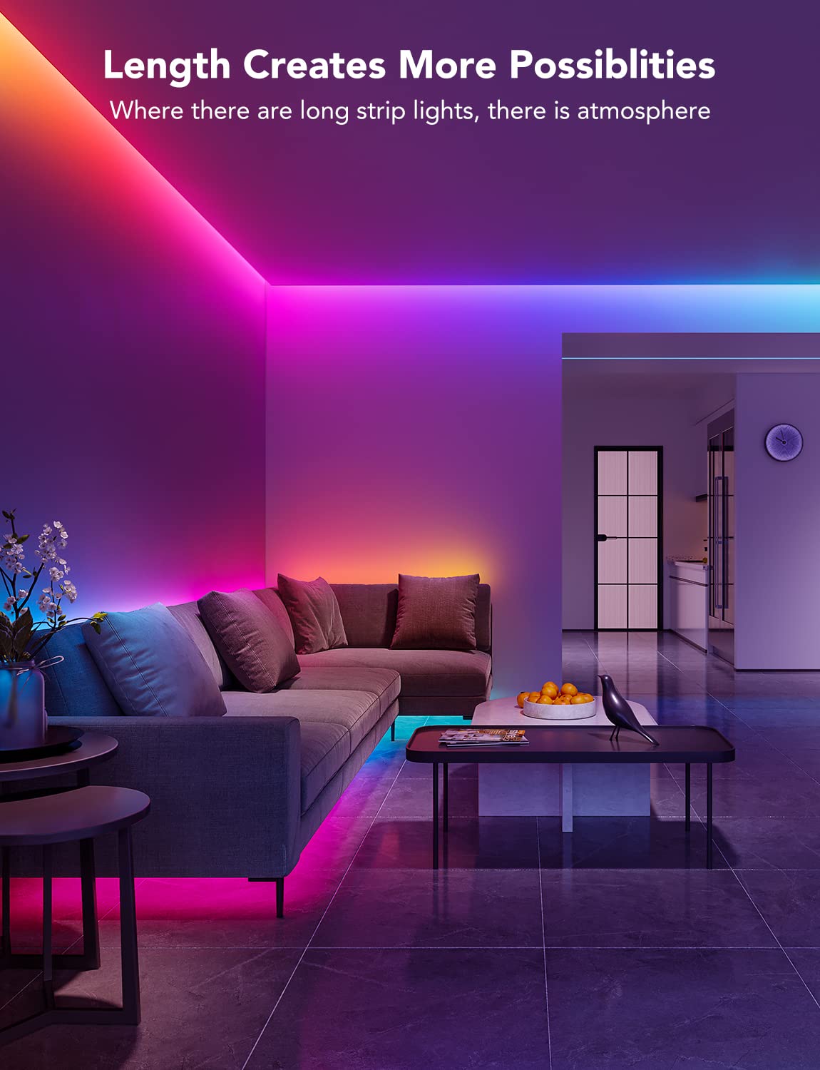 65.6ft RGBIC LED Strip Lights (65.6ft)