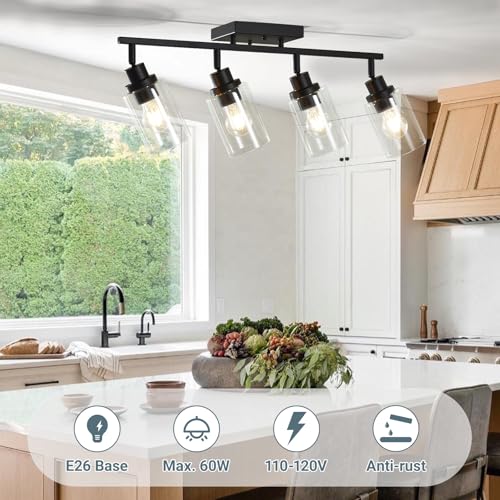 4 Light Kitchen Track Light Fixtures Ceiling Vanity Lights Black (Black / 4-Light)