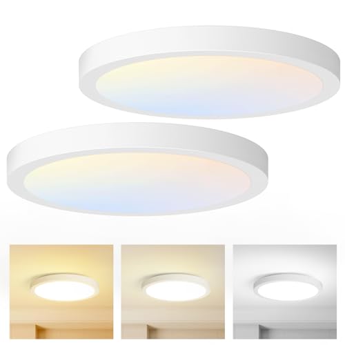 LED Flush Mount Ceiling Light Fixtures