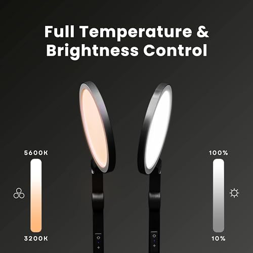 Edge 2.0 LED Desk Lamp (Black - Single)