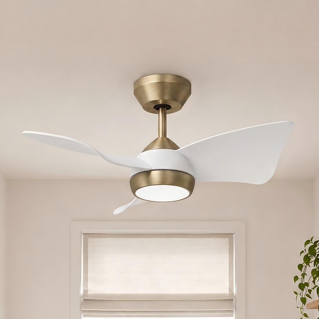30 Inch Small Ceiling Fan with Lights (Brushed Brass & White / 30 Inch)