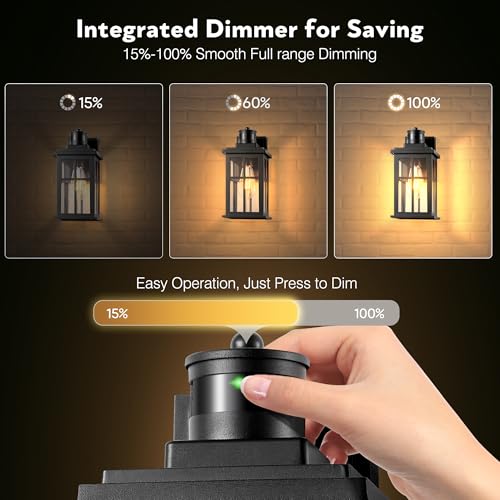 Motion Sensor Outdoor Light (Motion Sensor 1 Pack / Black)