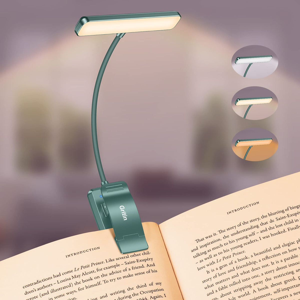19 LED Rechargeable Book Light for Reading in Bed (Blackish Green)