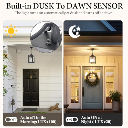 Outdoor Pendant Lights (Black / Small-Water Glass)