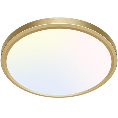 LED Ceiling Lights Flush Mount