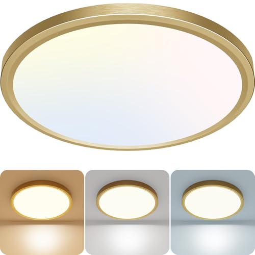 LED Ceiling Light