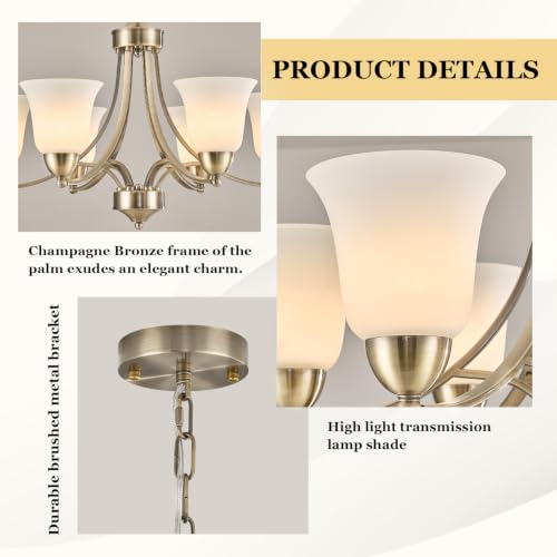 6 Lights Brushed Bronze Dining Room Light Fixture Farmhouse Modern Chandelier Pendant Light Champagne Bronze Adjustable Ceiling Hanging Lighting with Frosted Glass for Kitchen Island Living Room Foyer (Brushed Bronze Chandelier-A)