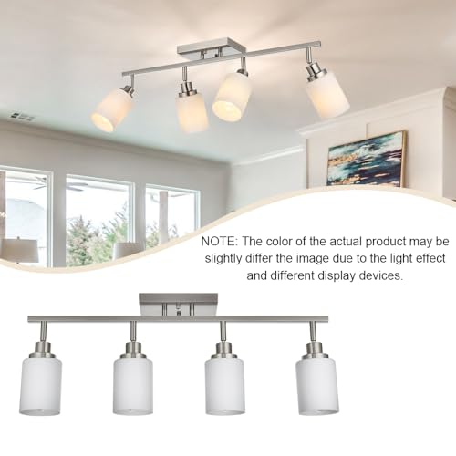 4 Light Track Lighting (Brushed Nickel / 4-Lights)