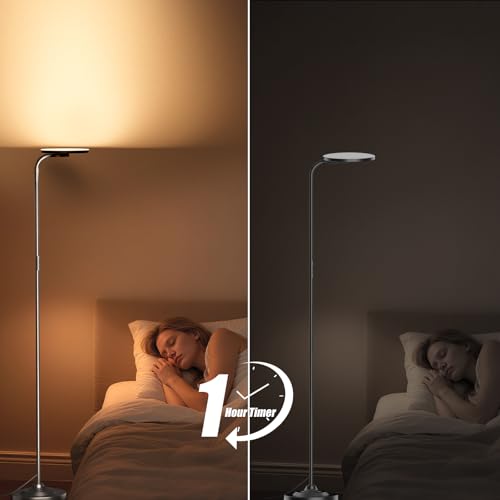 36W LED Floor Lamp (Black)
