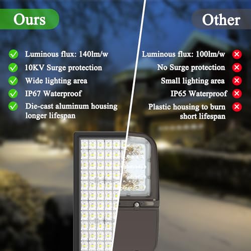200W Dusk to Dawn Outdoor Light (100W*2-DTD)