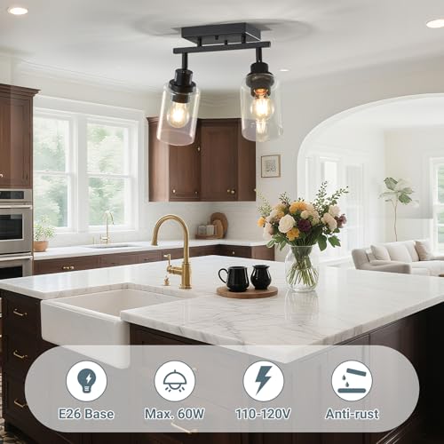 2 Light Kitchen Track Light Fixtures Ceiling Vanity Lights Black (Black / 2-Light)