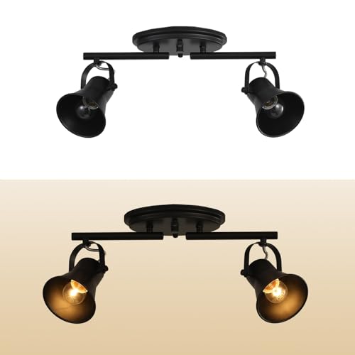 2 Light Track Lighting Kit (2-Light / Black)