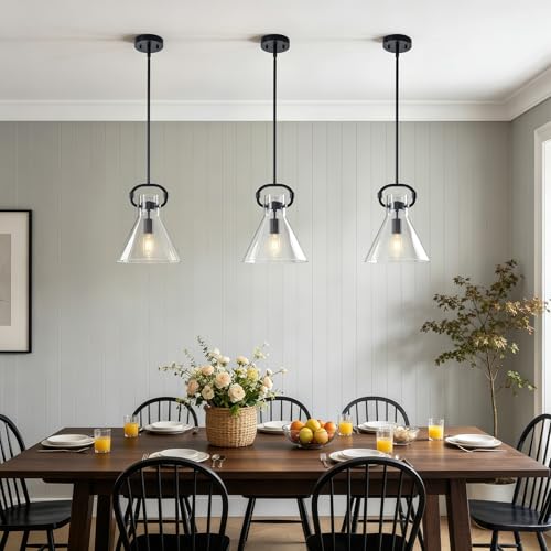 Black Glass Pendant Light 9.8" (Black / Special 1 Light)