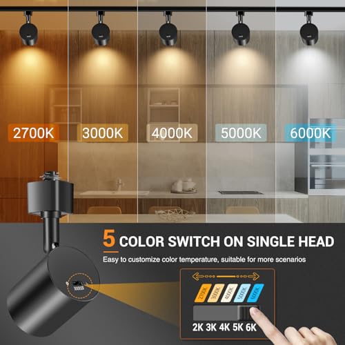 5-Color 12-Light LED Track Lighting Kit with 13FT Rails, 10W Black (Black / 12 Lights)