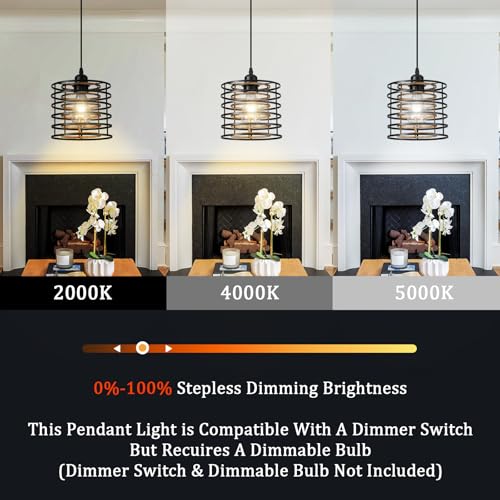 Farmhouse Pendant Lights Kitchen Island (Caged-1Pack)