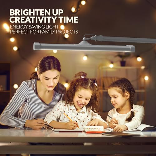 Professional LED Desk Lamp with Clamp (CCT Selectable, Dimming / White)