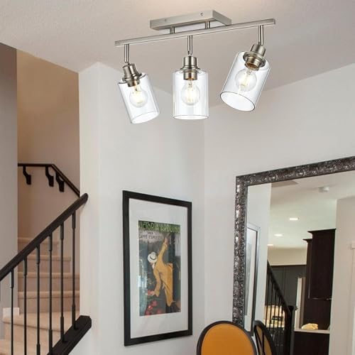 3 Light Track Lighting Fixtures Ceiling (Brushed Nickel / 3 Lights)
