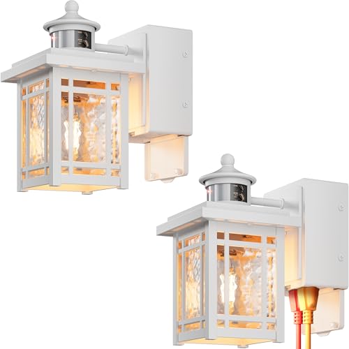 White Outdoor Porch Light with Outlet (White / 2-pack)